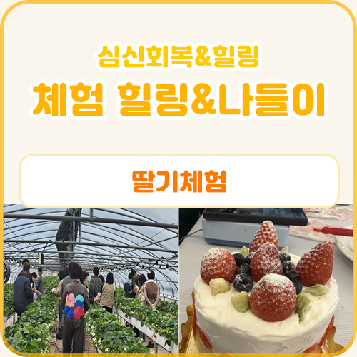 체험 힐링&나들이 프로그램(딸기 체험) (2.25)