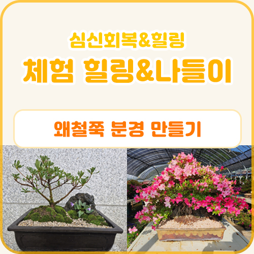 체험 힐링&나들이 프로그램(왜철쭉 분경 만들기) (6.4)
