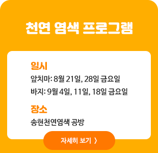 천연 염색 프로그램